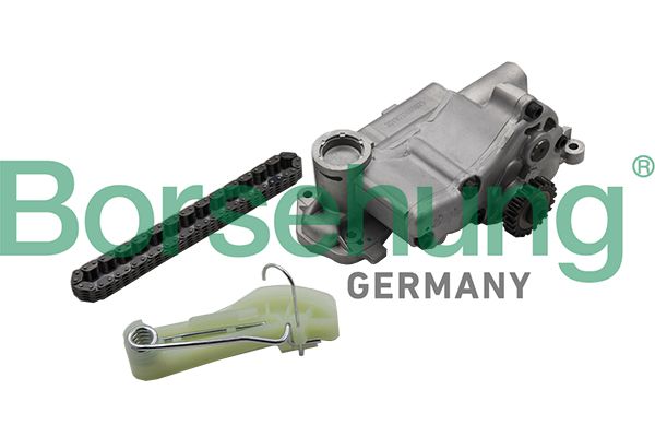 BORSEHUNG B19176 Chain kit, oil pump drive