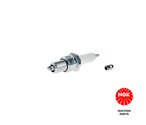 Spark Plug-1