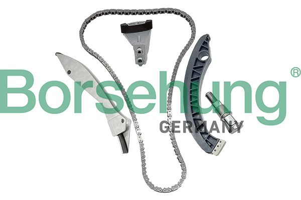 BORSEHUNG B13291 Timing chain kit