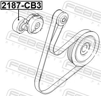 Tensioner Pulley, V-ribbed belt-1