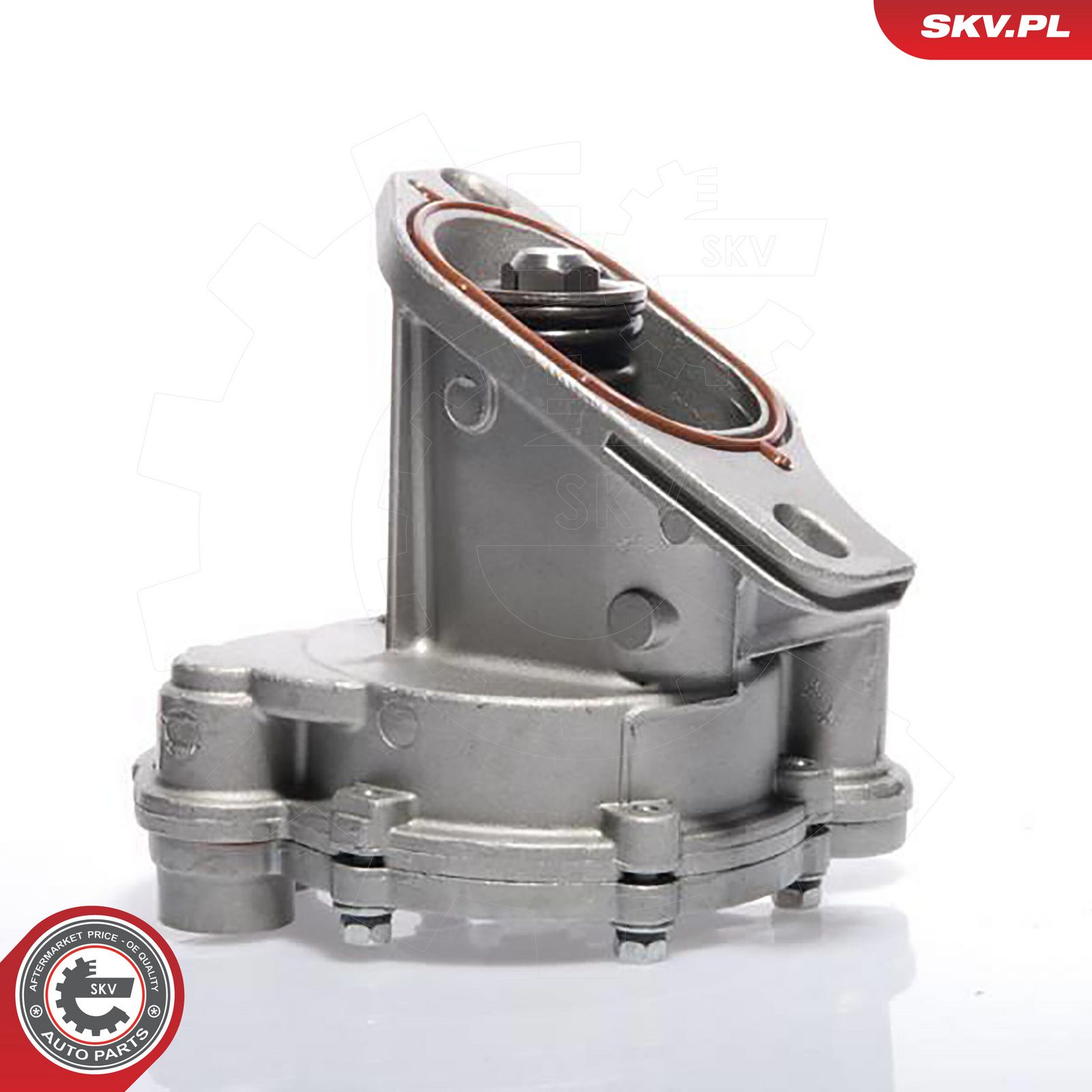 ESEN SKV 18SKV009 Vacuum pump, braking system