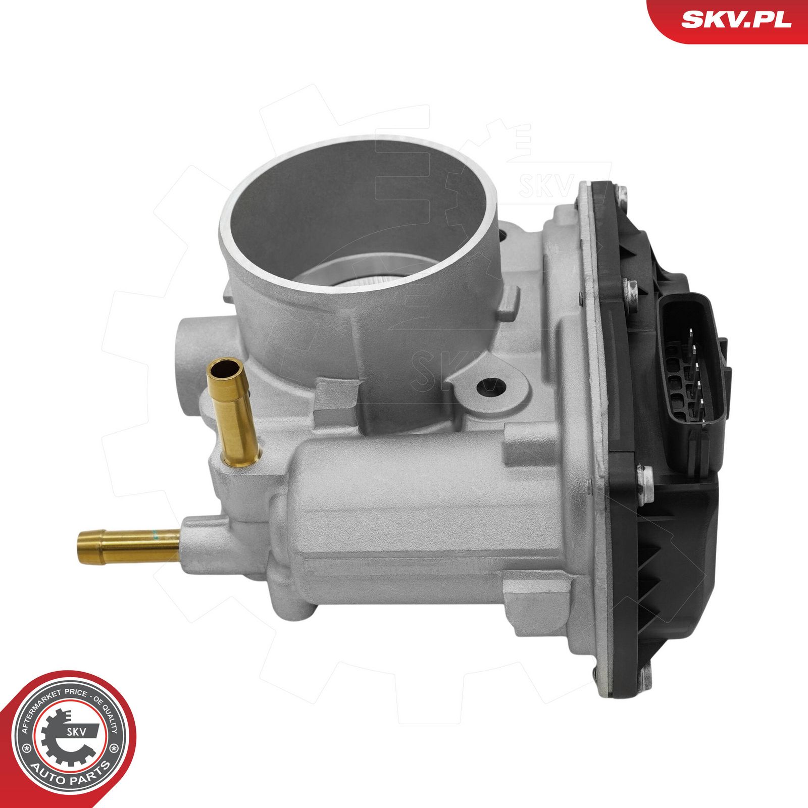 Throttle Body-1