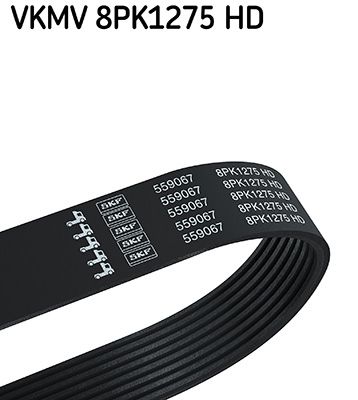 SKF VKMV 8PK1275 HD V-ribbed belt