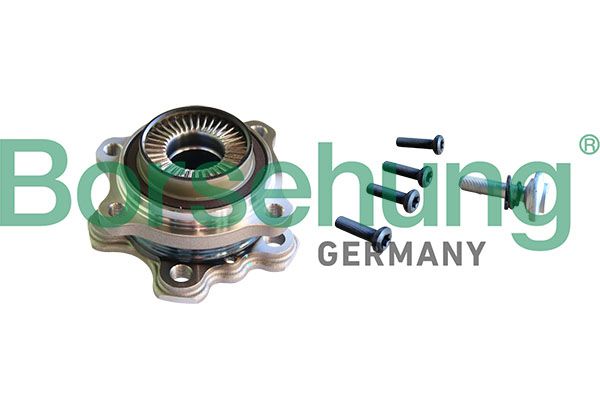 BORSEHUNG B11295 Wheel bearing kit
