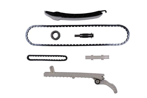 HEPU 21-0579 Timing chain kit
