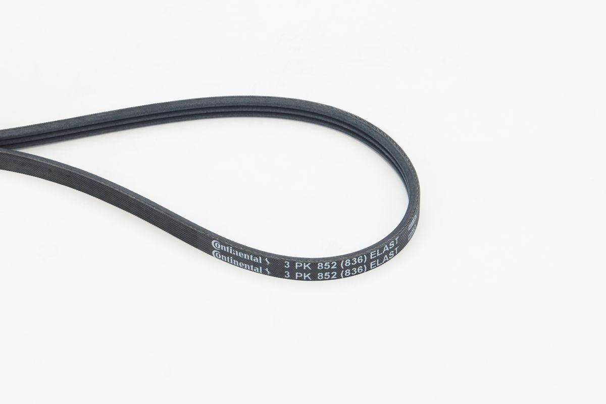 CONTINENTAL CTAM 3PK852 ELAST V-ribbed belt