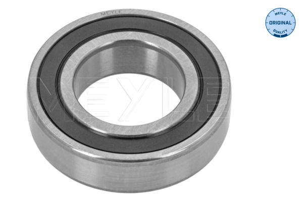 Bearing, propshaft centre bearing-main