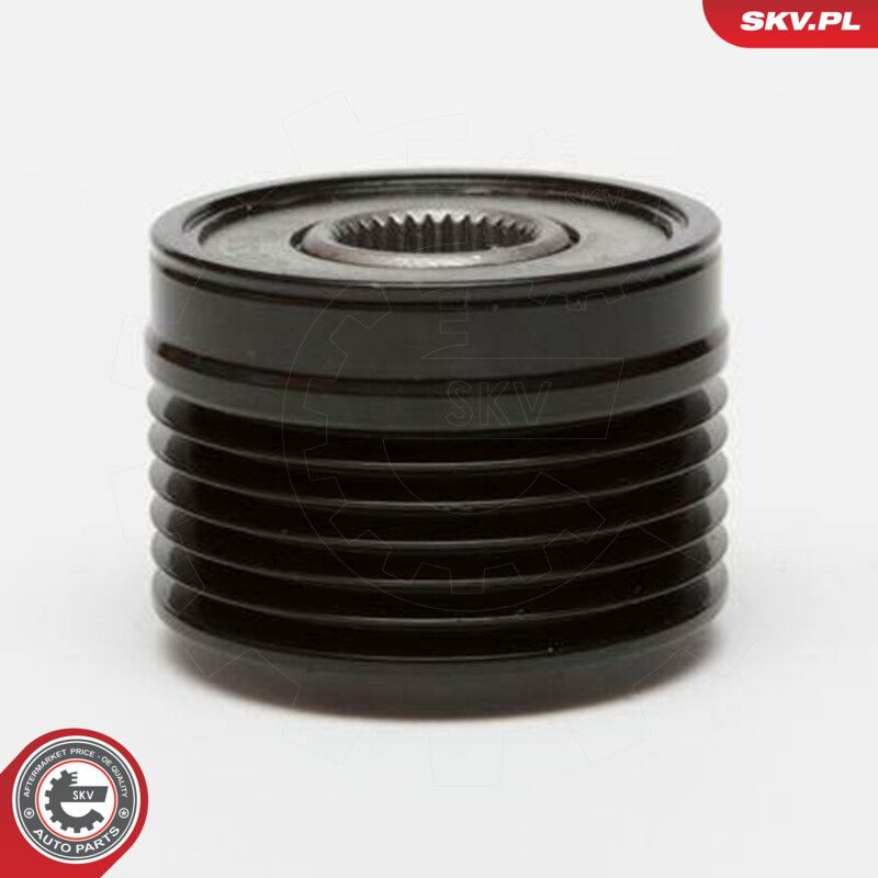 Alternator Freewheel Clutch-3