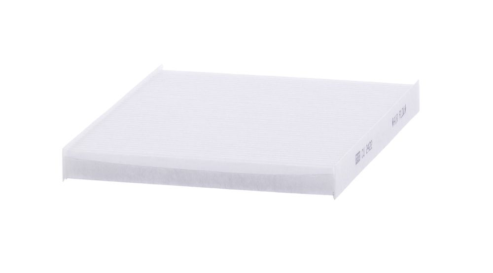 filtras, salono oras