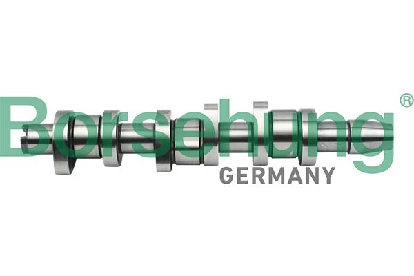 BORSEHUNG B17862 Camshaft