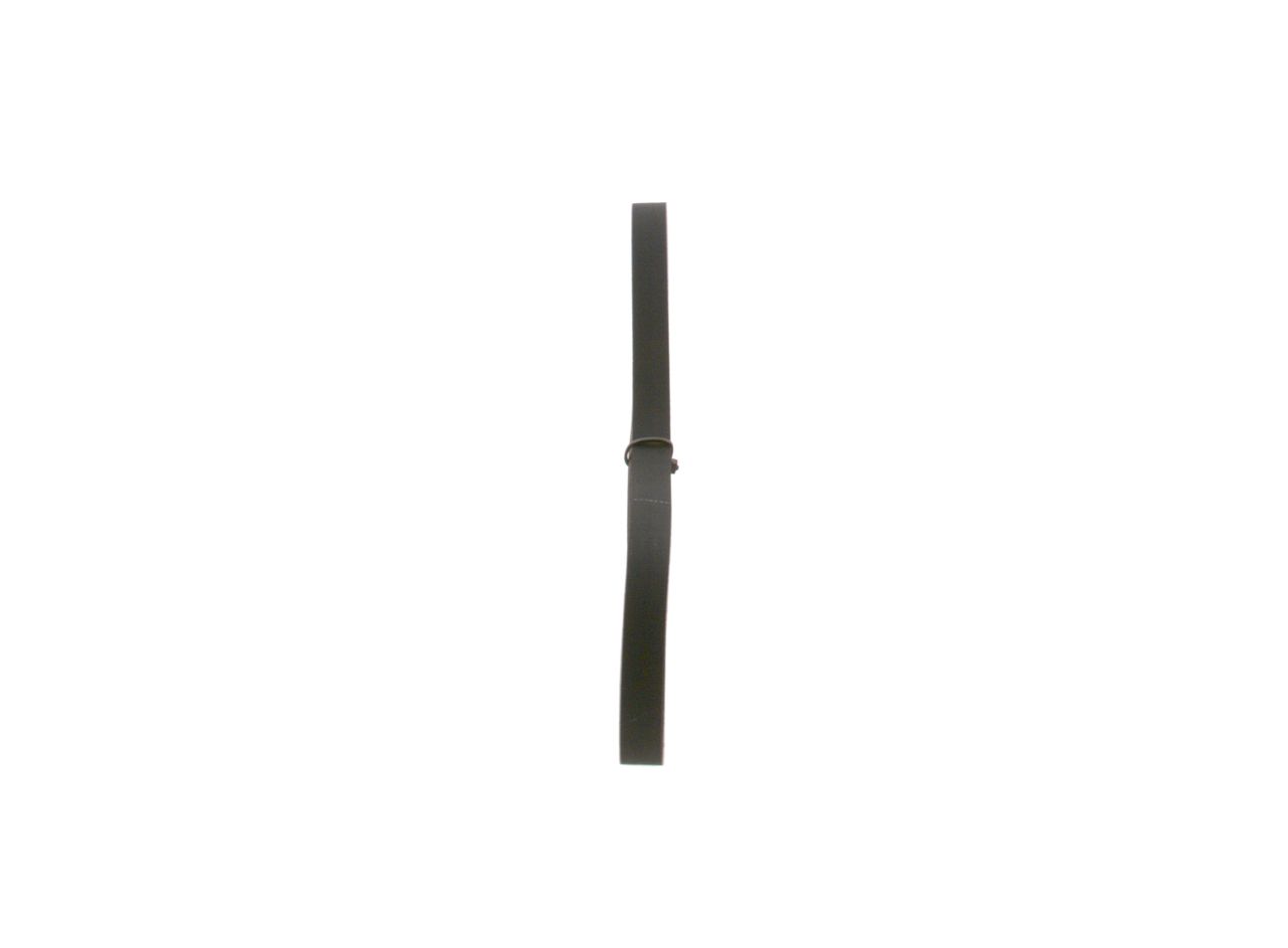 V-ribbed Belt-3