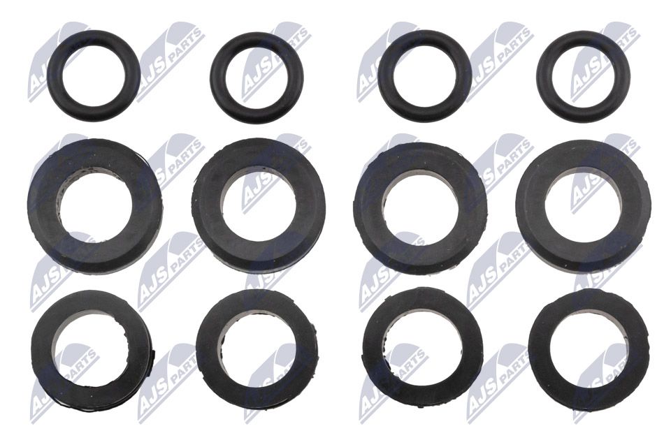 NTY BWP-MZ-001 Seal ring, injector