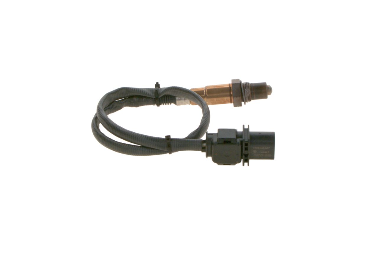 Oxygen Sensor-4