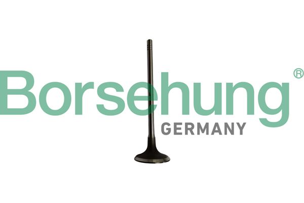 BORSEHUNG B10334 Intake valve