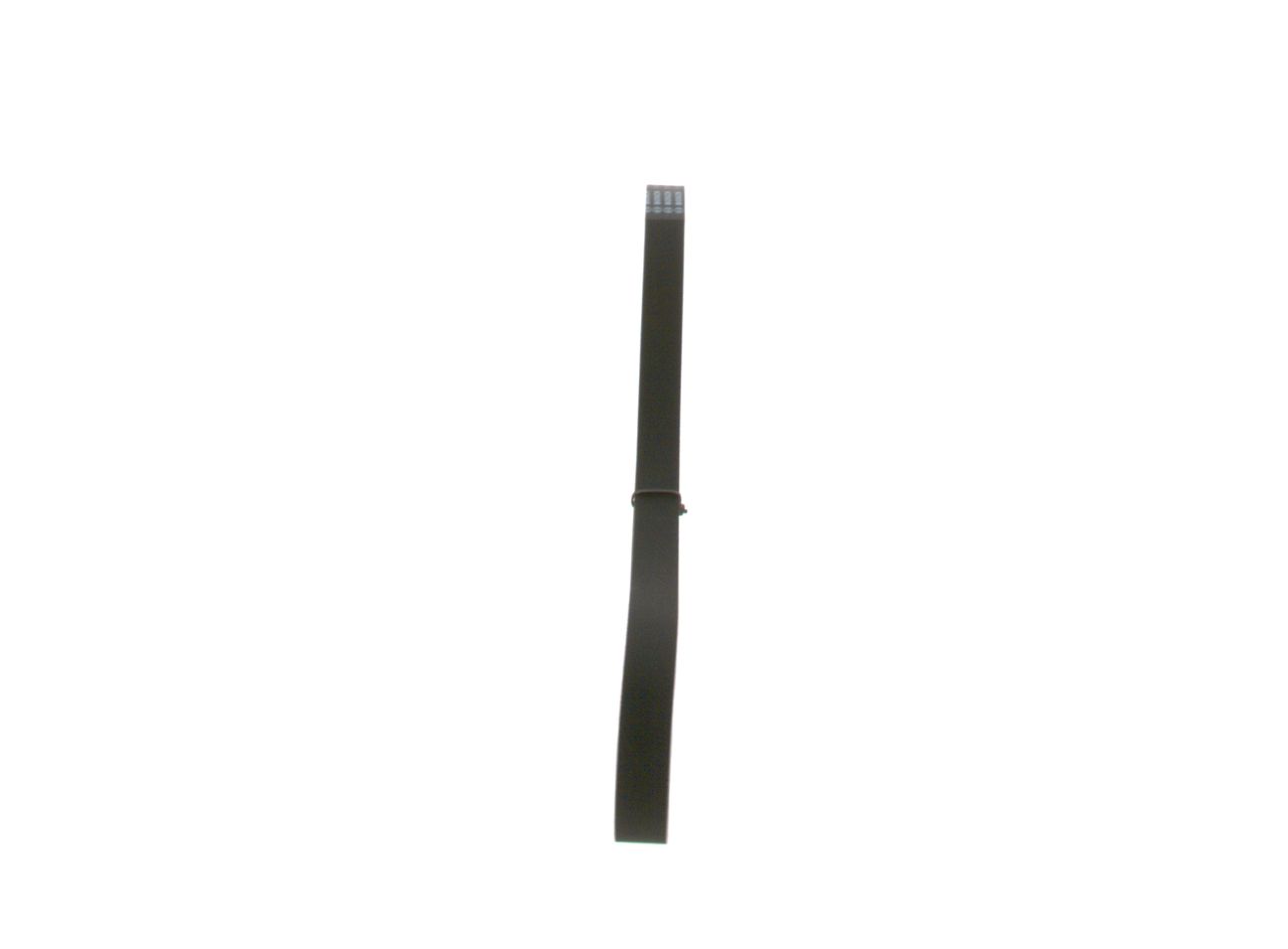 V-ribbed Belt-3