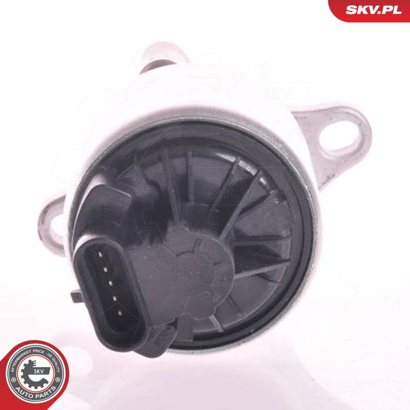 EGR Valve-3