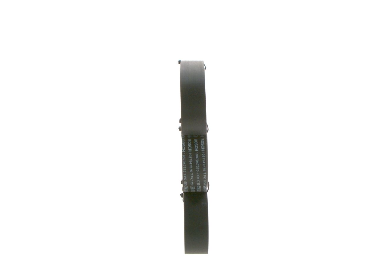 V-ribbed Belt-1