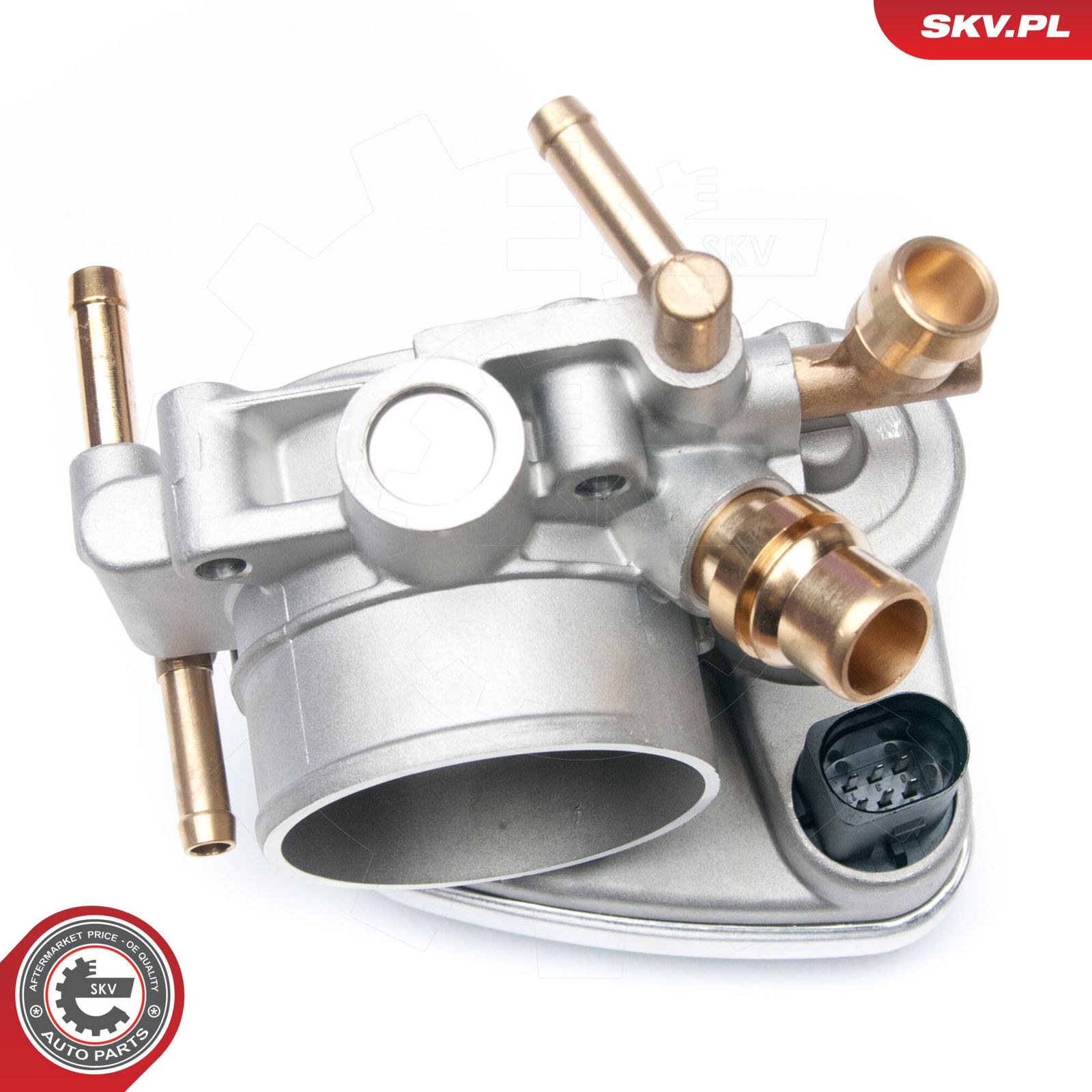 Throttle Body-1
