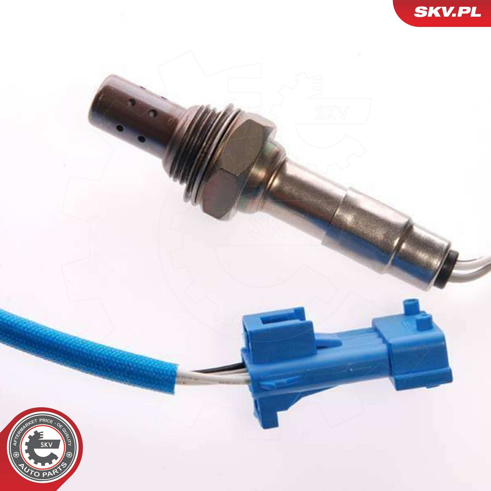 Oxygen Sensor-1