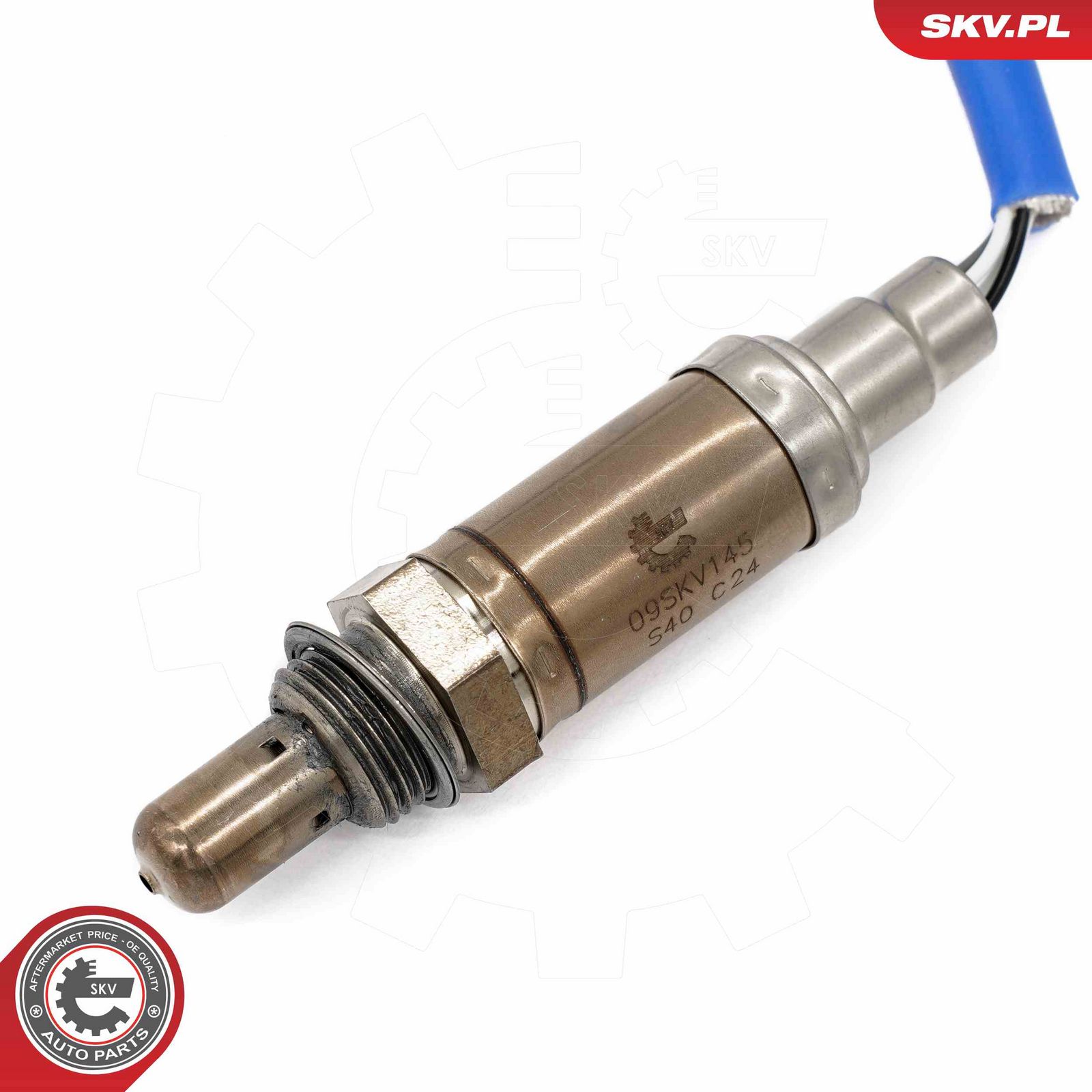 Oxygen Sensor-1
