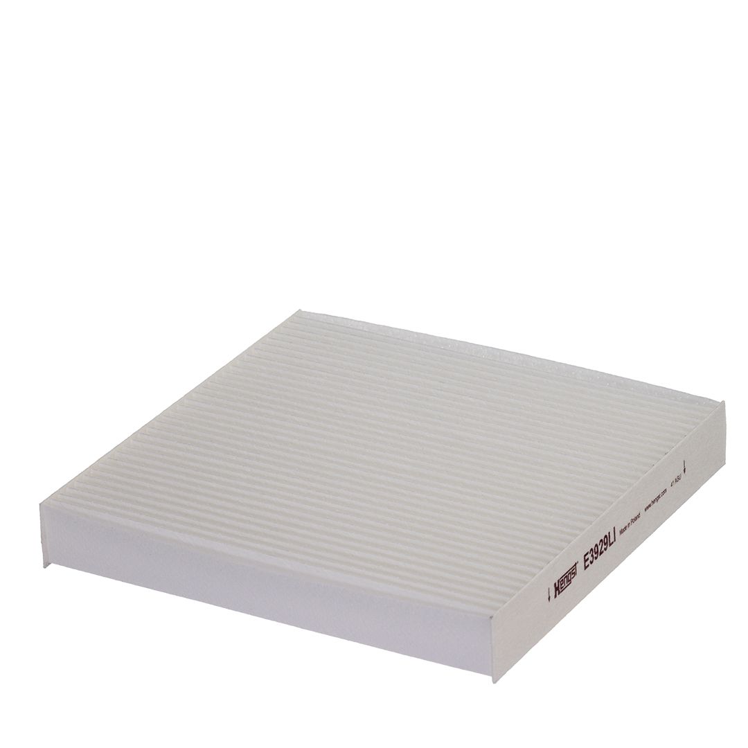 HENGST FILTER E3929LI Filtras, salono oras