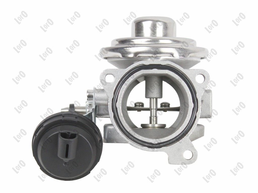 EGR Valve-6