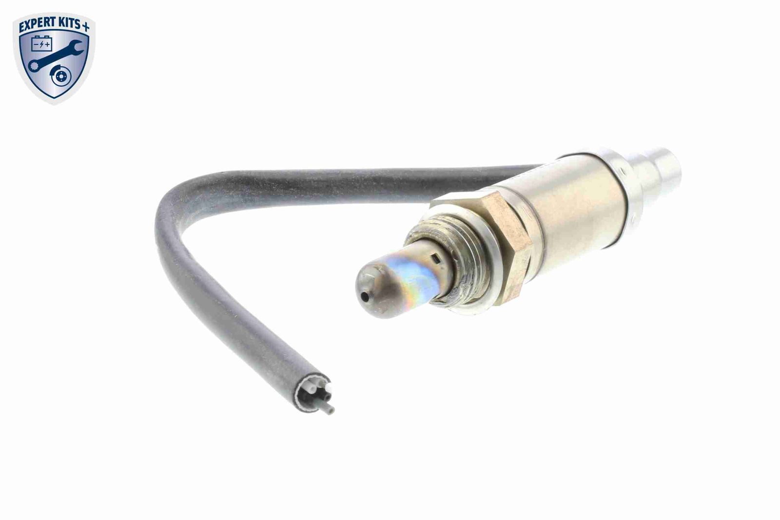 Oxygen Sensor-2