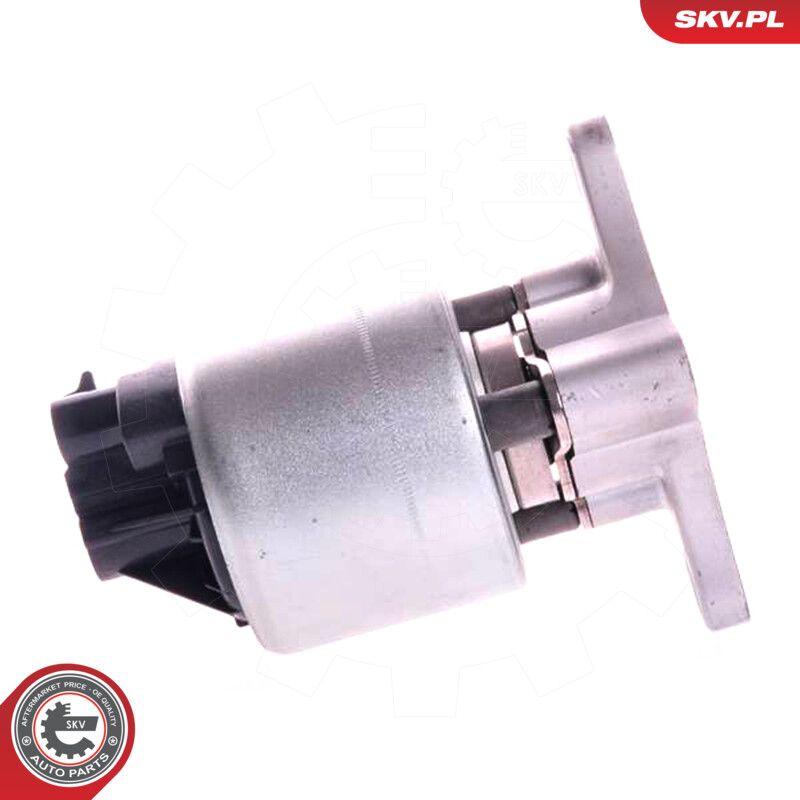 EGR Valve-2