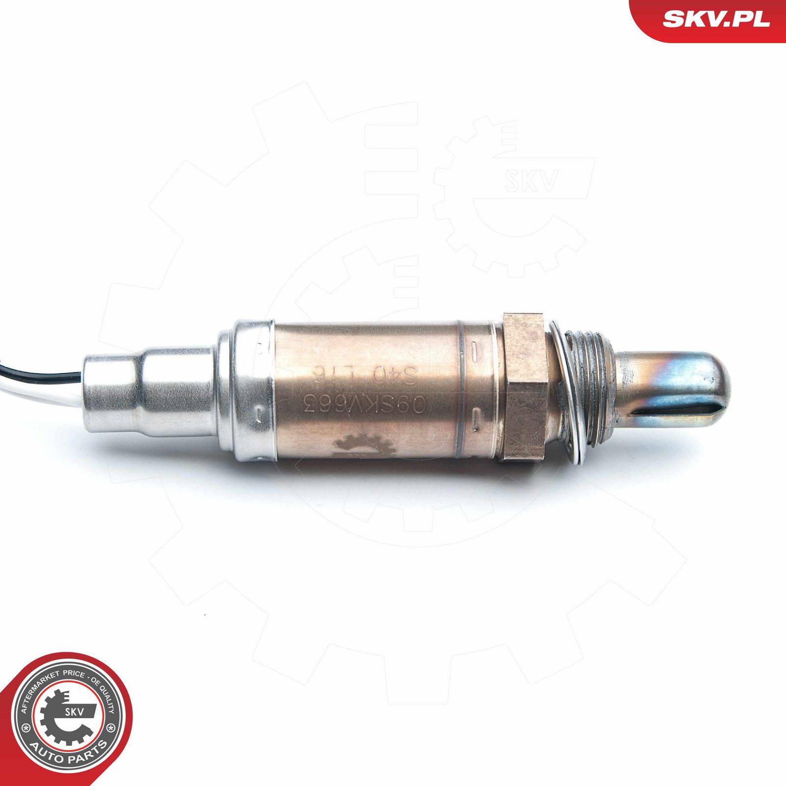Oxygen Sensor-1