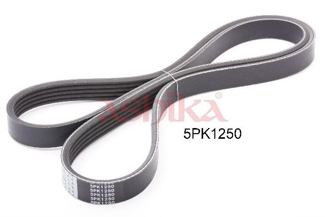 ASHIKA 112-5PK1250 V-ribbed belt
