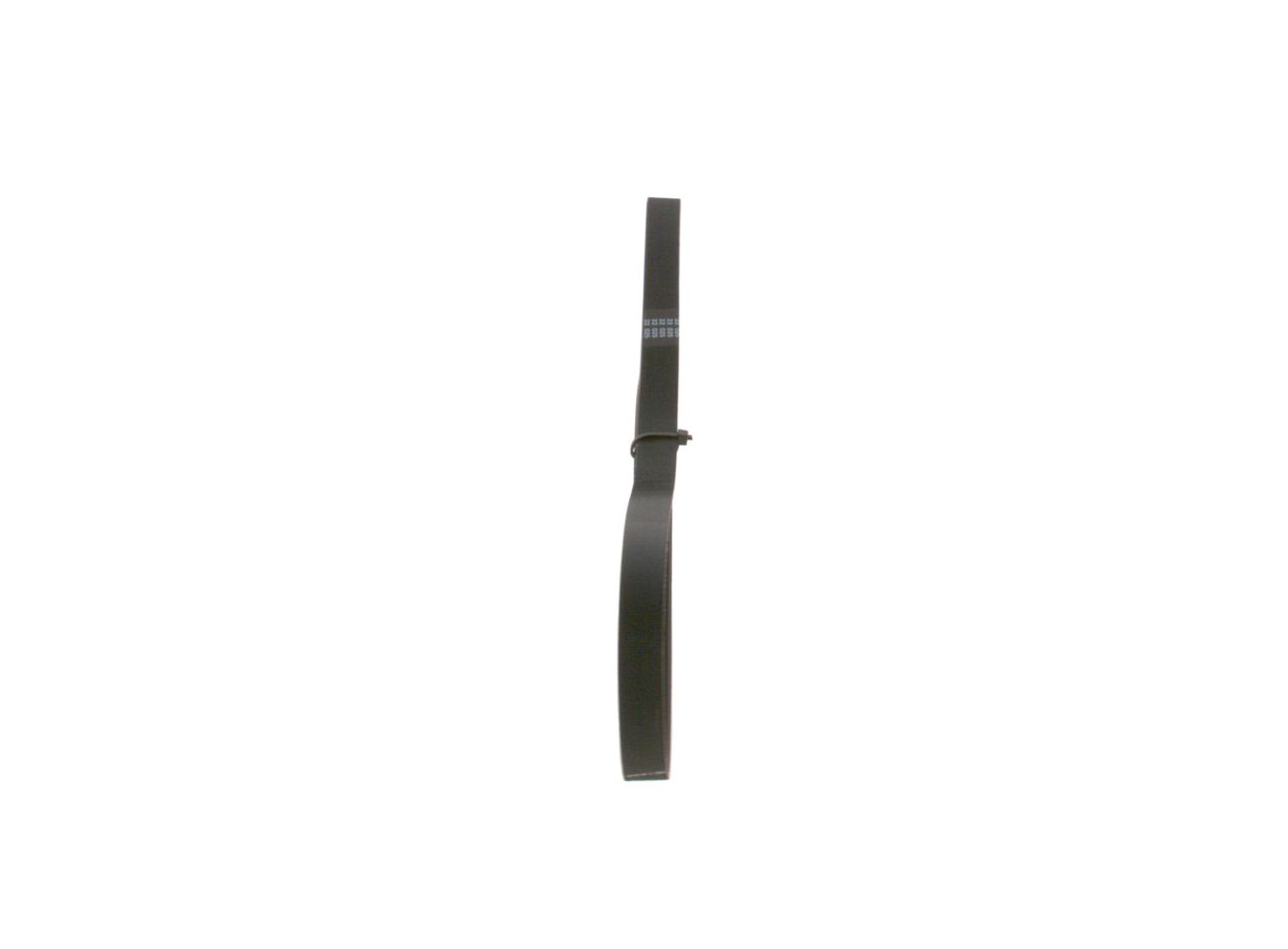 V-ribbed Belt-3