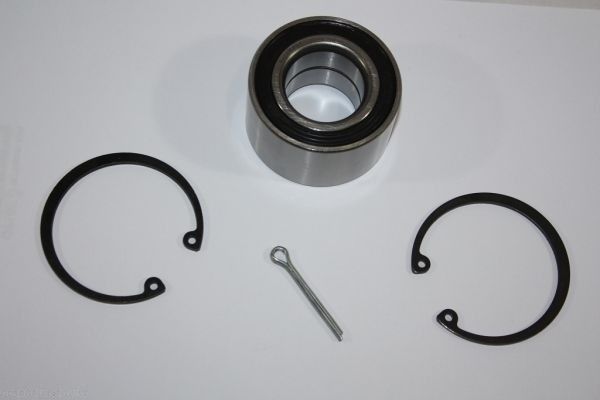 AUTOMEGA 110153810 Wheel bearing kit