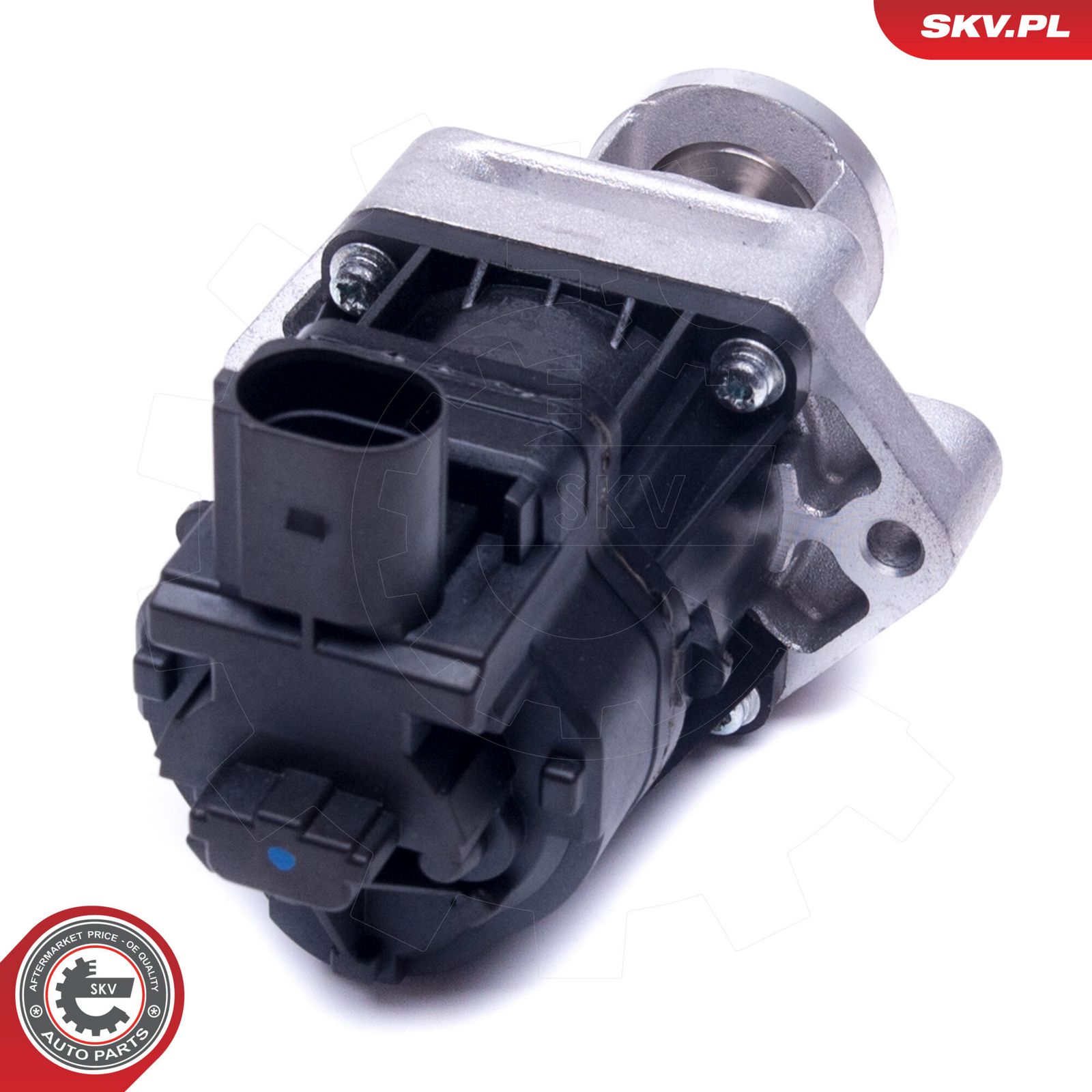 EGR Valve-1