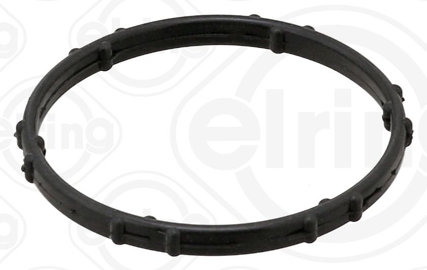 Gasket, coolant flange
