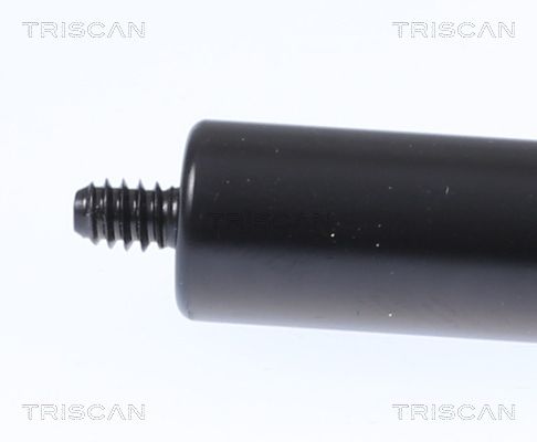 Gas Spring, bonnet-1