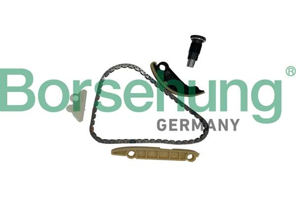 BORSEHUNG B10254 Timing chain kit