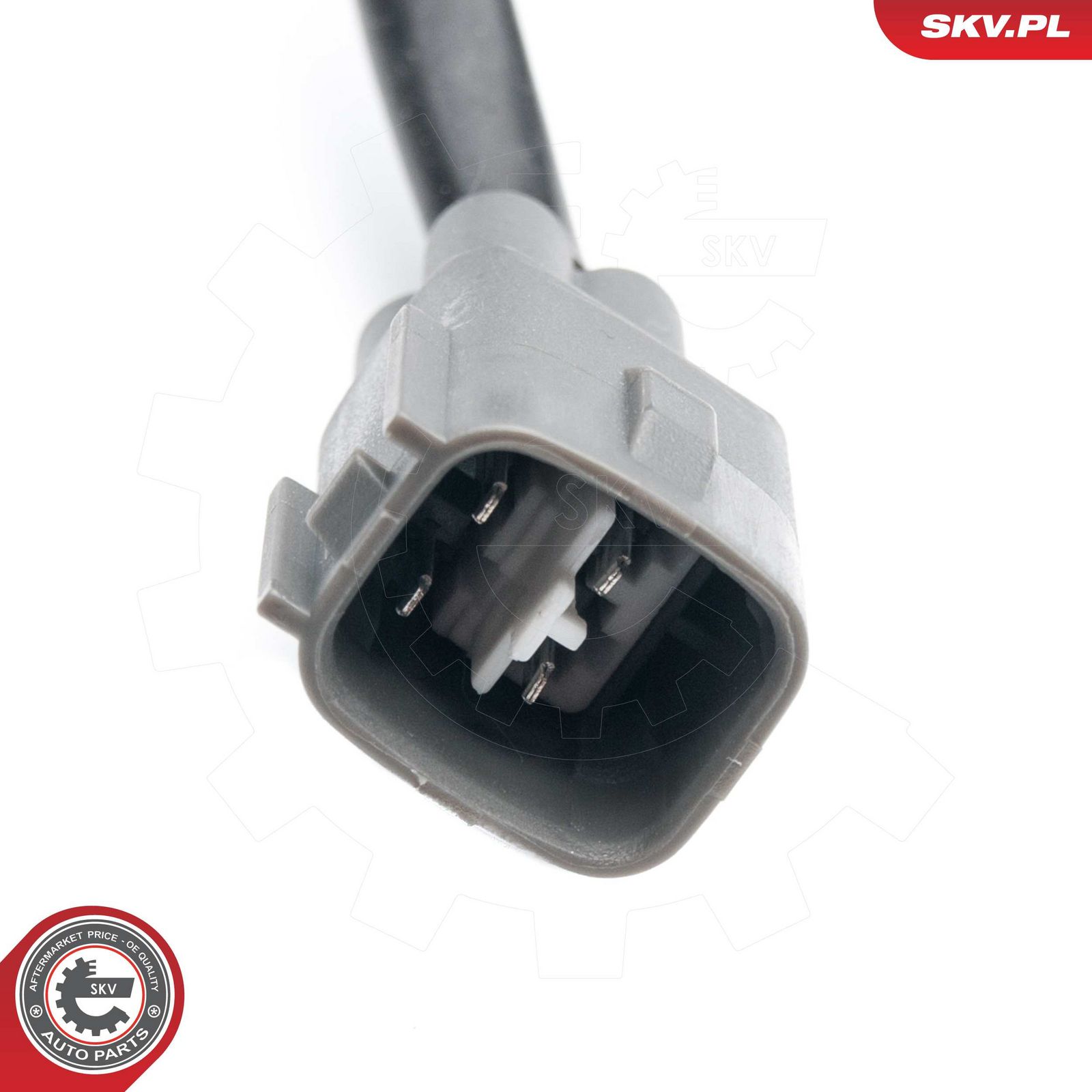 Oxygen Sensor-2