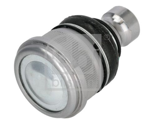 Šarnyras / girgždukas-1