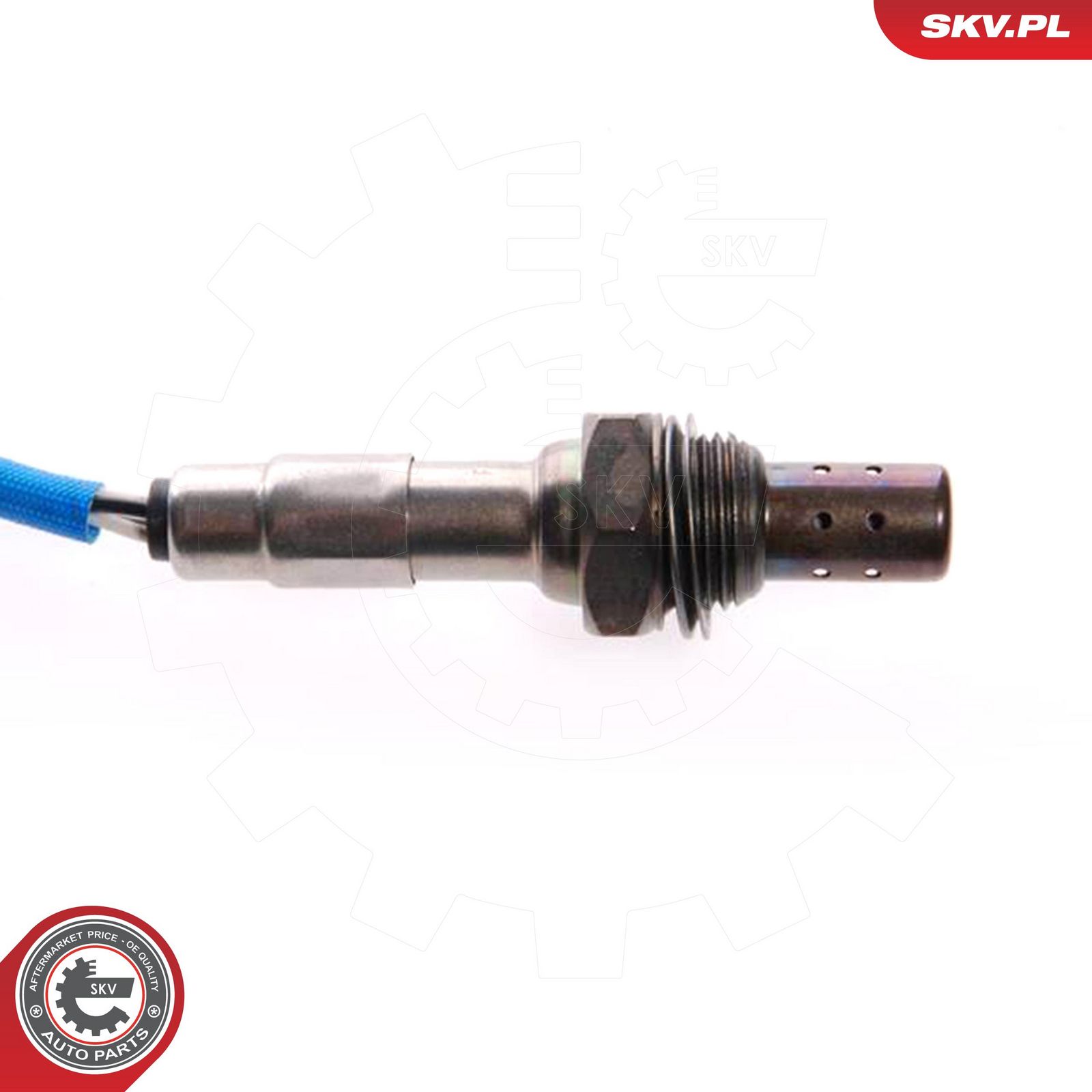 Oxygen Sensor-2