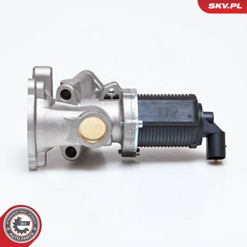EGR Valve-1