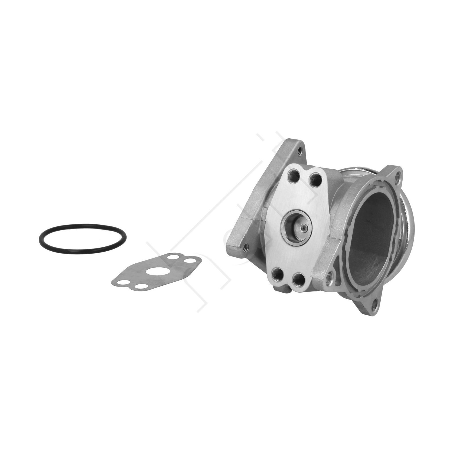 EGR Valve-1