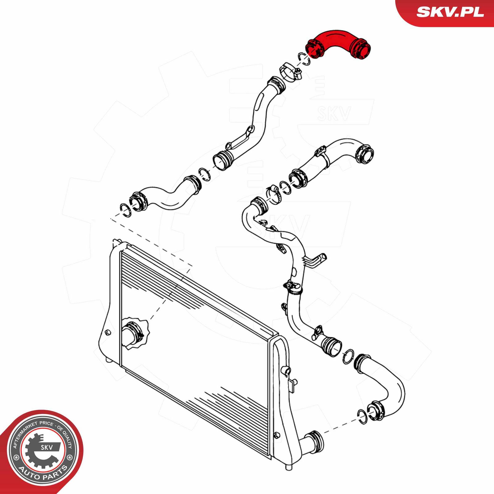 Charge Air Hose-3