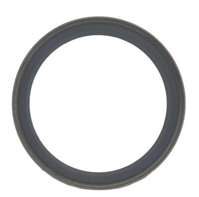 Seal Ring, steering knuckle-1