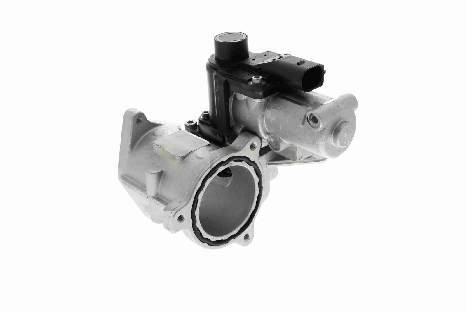 EGR Module-4