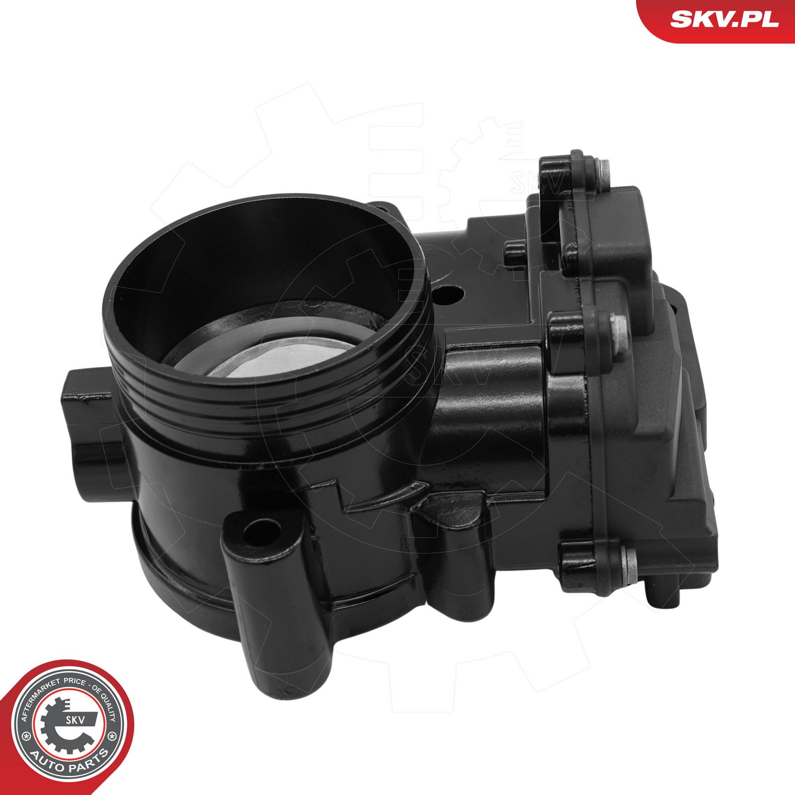 Throttle Body-1