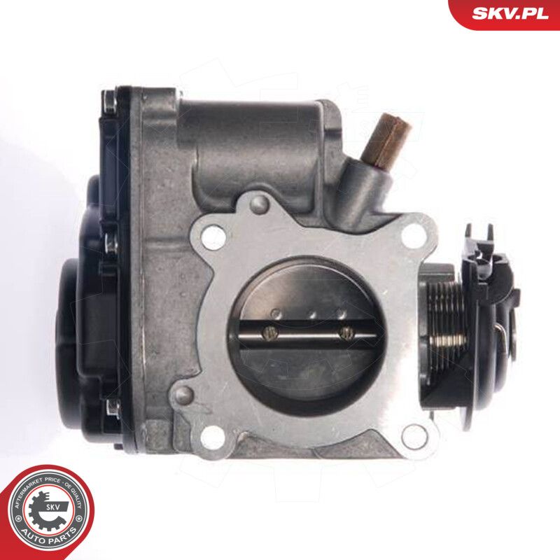 Throttle Body-1