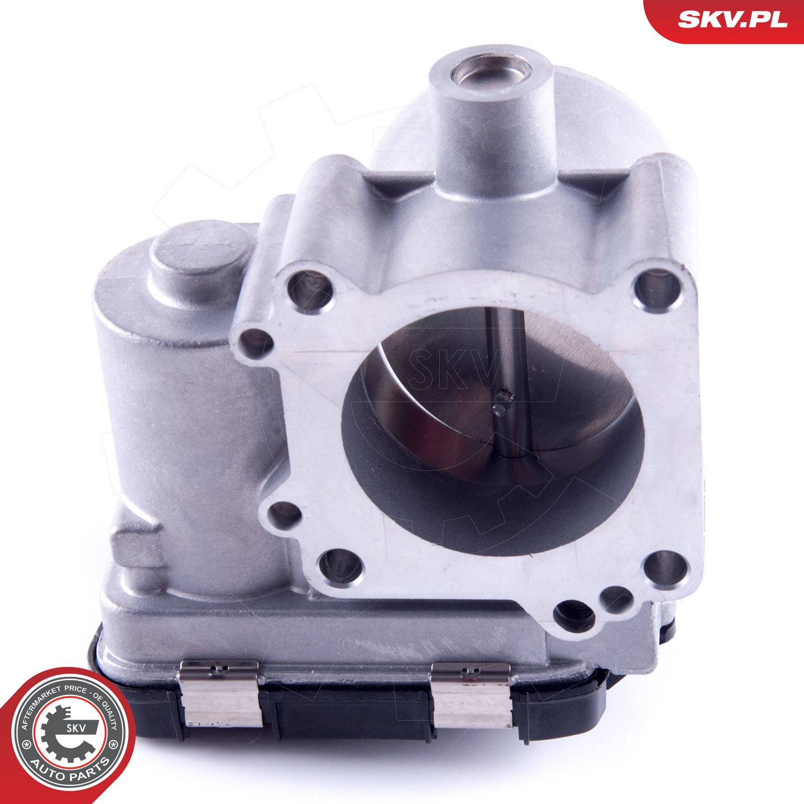 Throttle Body-1