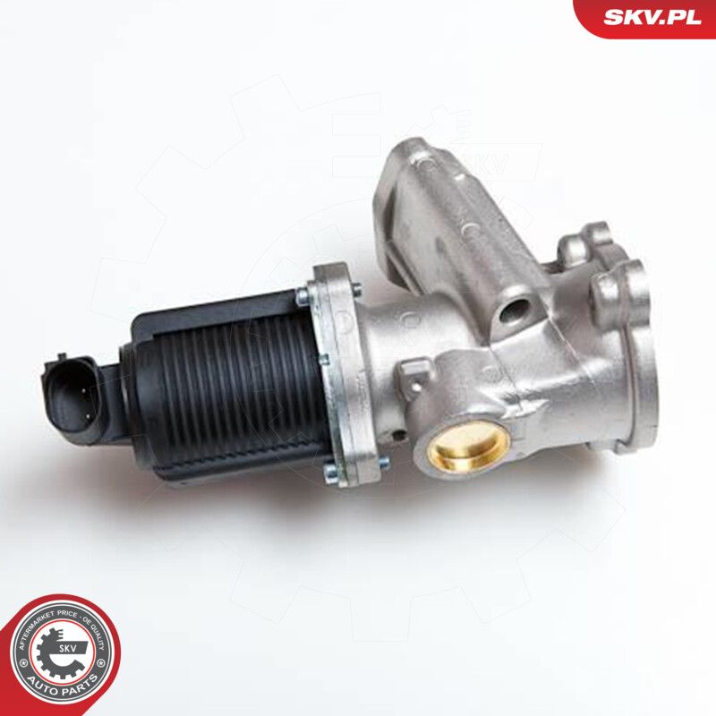 EGR Valve-3