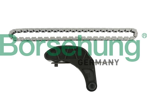 BORSEHUNG B18851 Chain kit, oil pump drive
