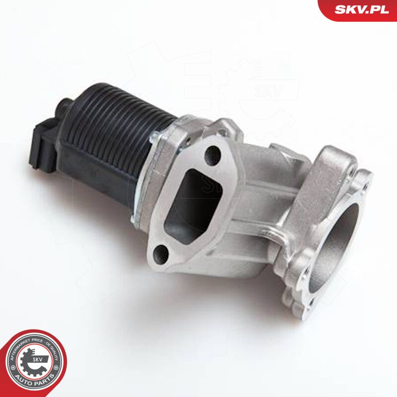 EGR Valve-4